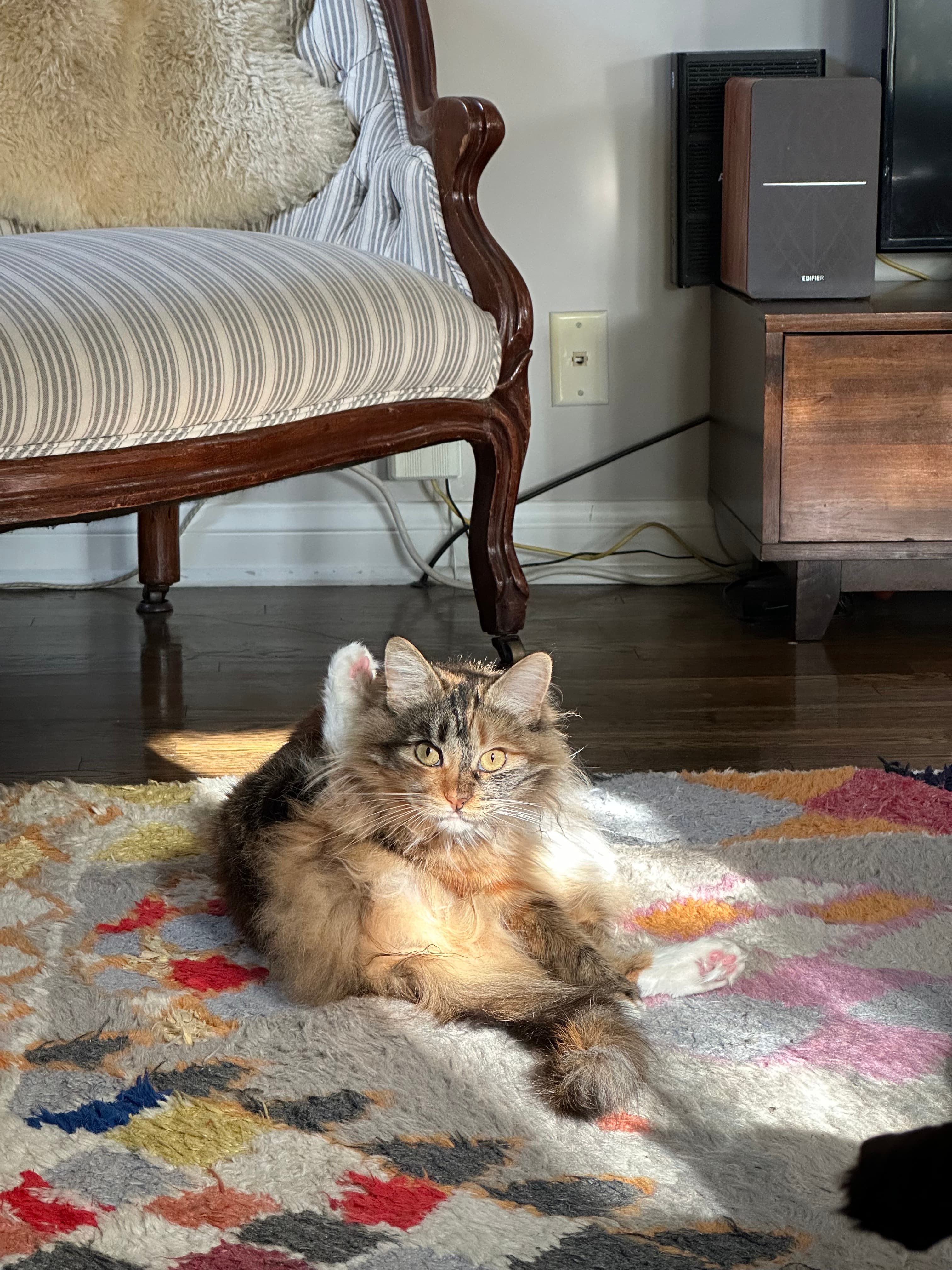 Bonnie