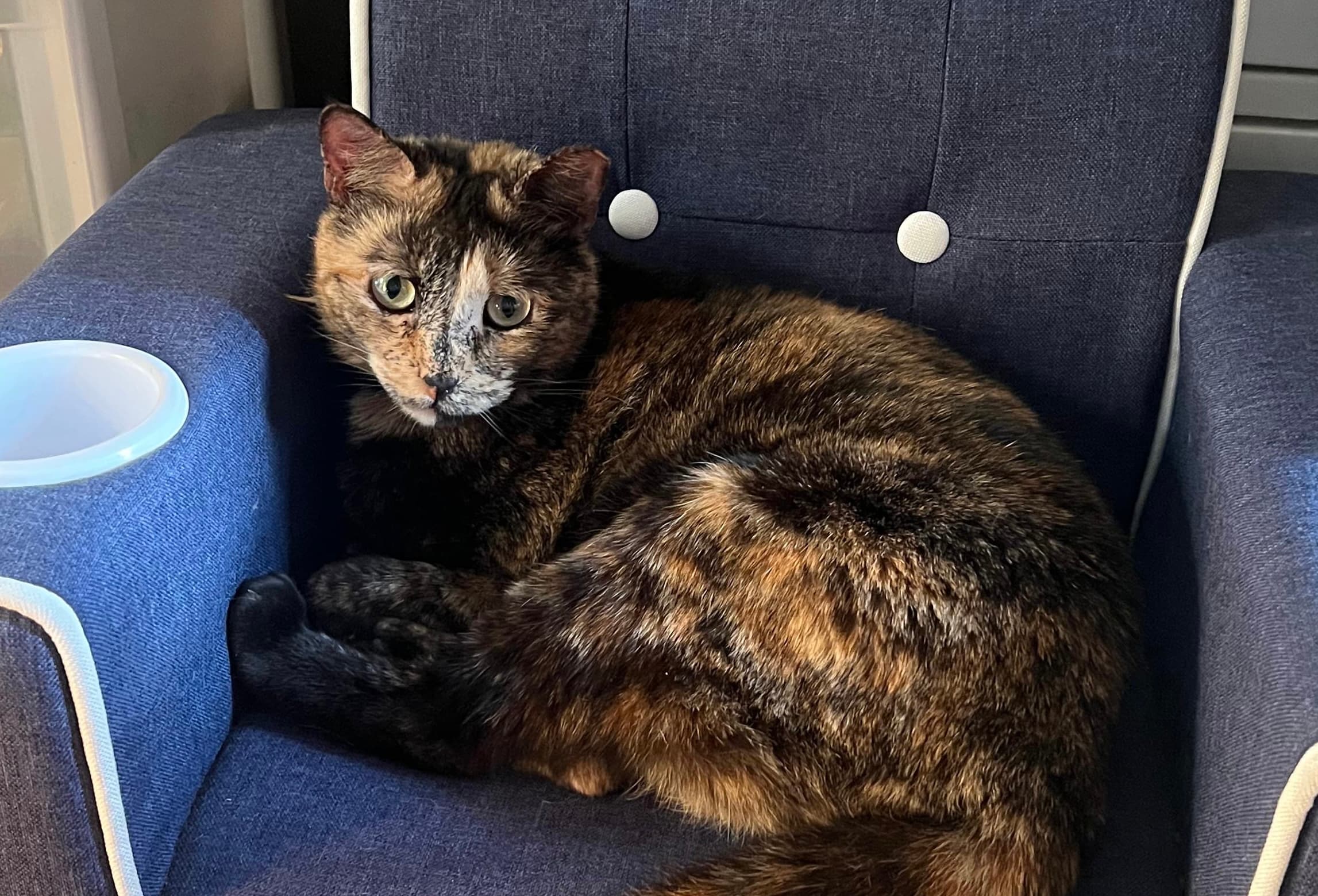 Mya