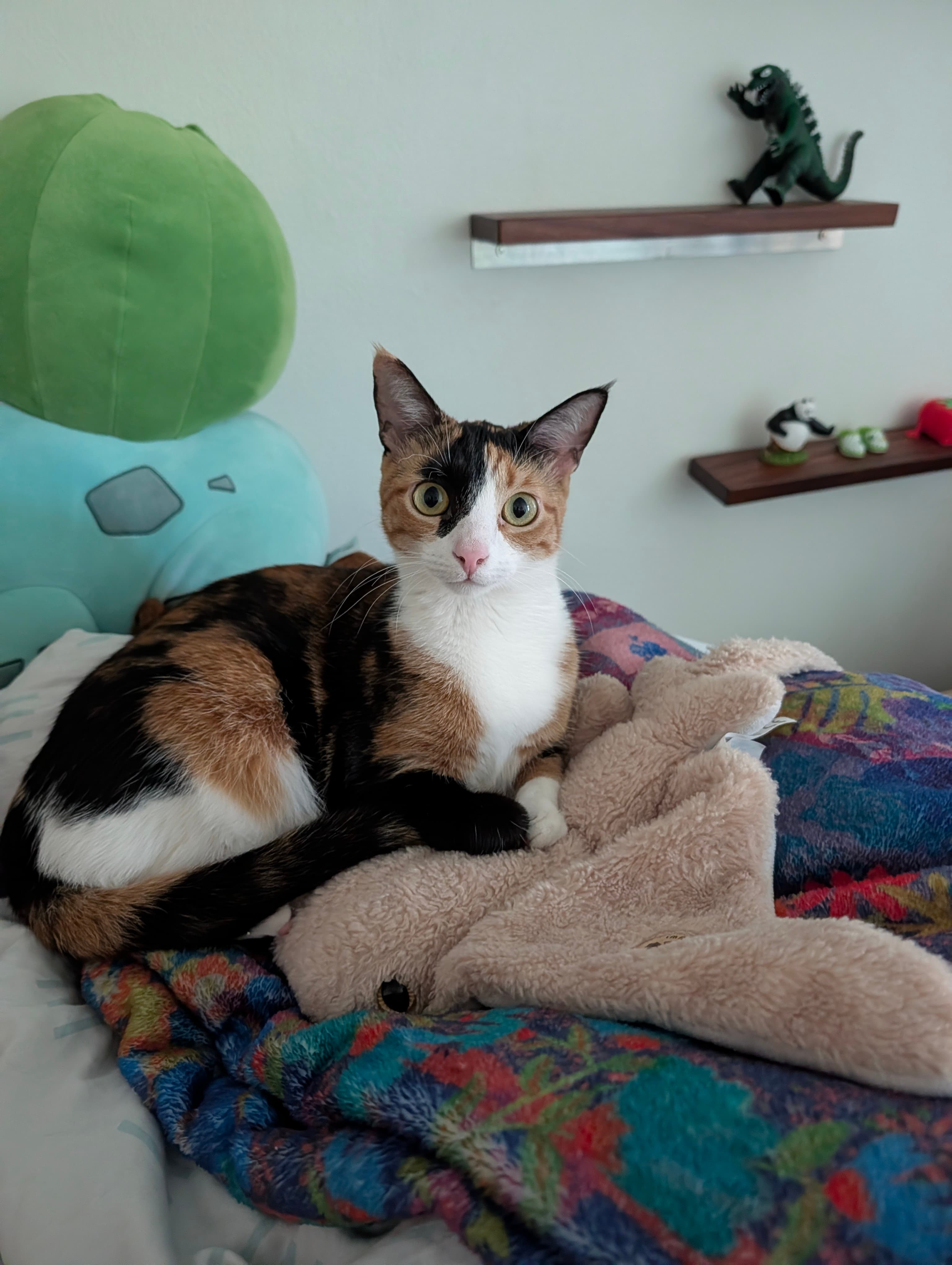 Lola