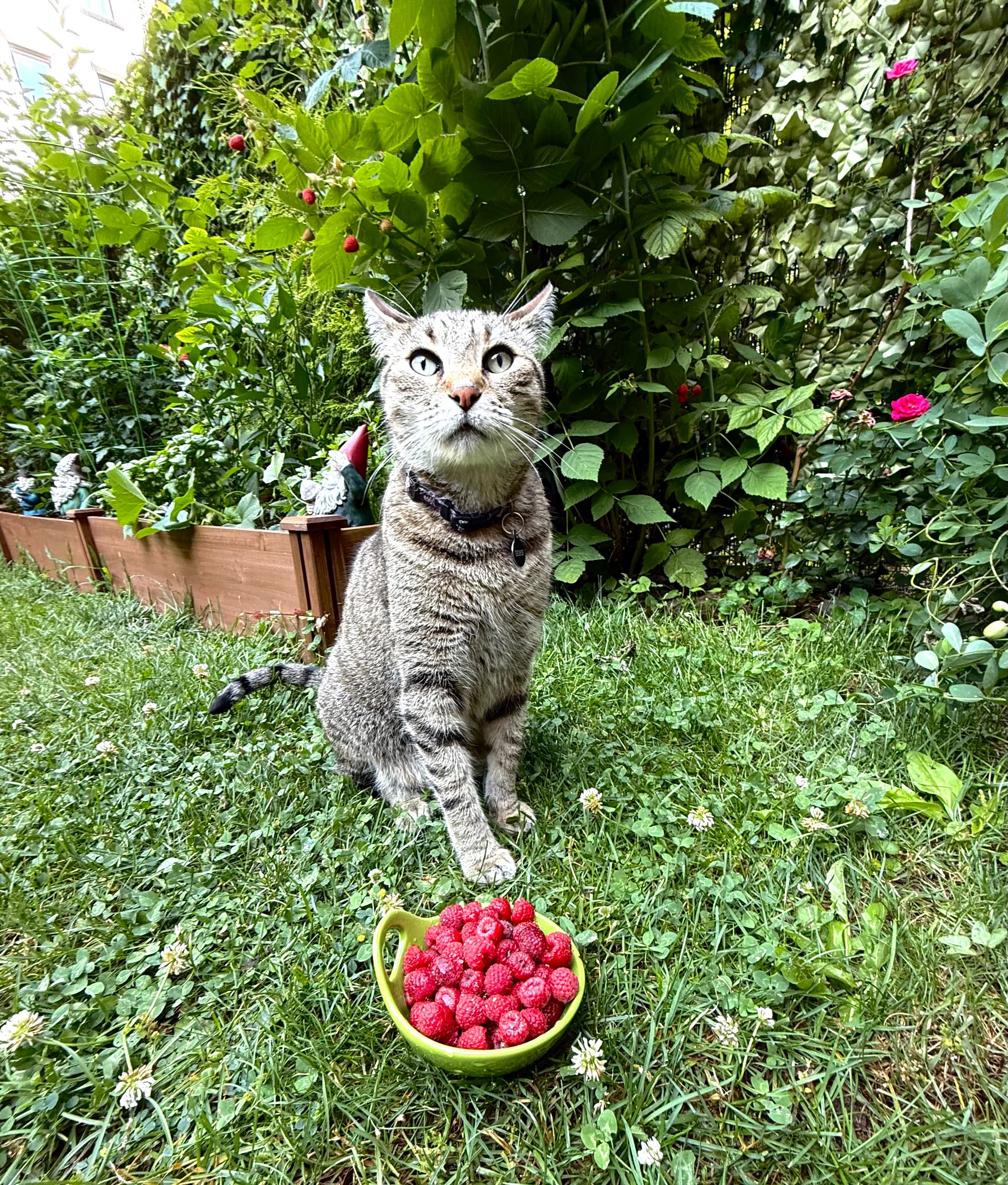 George